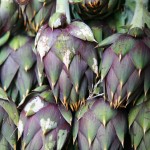 Artichokes Artichokes