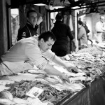 Fish Market Fish Market