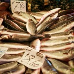 Fish Market Fish Market