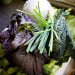 Our bounty from Sweetwater Organic Farm.