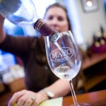 A tasting at Mayo A tasting at Mayo