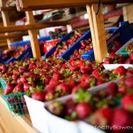 The best Strawberries EVER! The best Strawberries EVER!