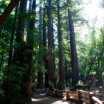 Hiking in Big Sur. Hiking in Big Sur.