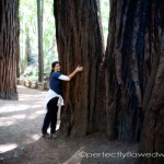 I'm a Tree Hugger. I'm a Tree Hugger.