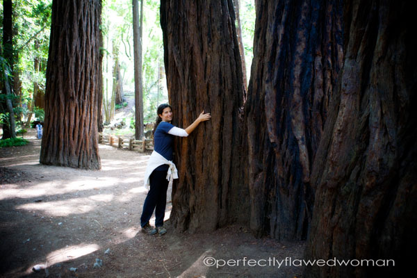 I'm a Tree Hugger. I'm a Tree Hugger.