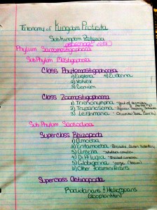 My notes!