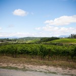 Wine Country Wine Country