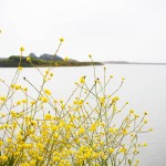 Bodega Bay Bodega Bay