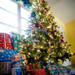 X-MAS2010013-3