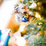X-MAS2010019-4