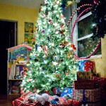 X-MAS2010036-7