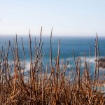 Big Sur