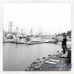 Bodega Bay Bodega Bay