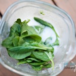 Avacocosmoothie2-7