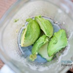 Avacocosmoothie3-6