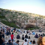 Bat Flight at Carlsbad Caverns
