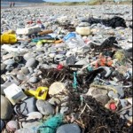 litter